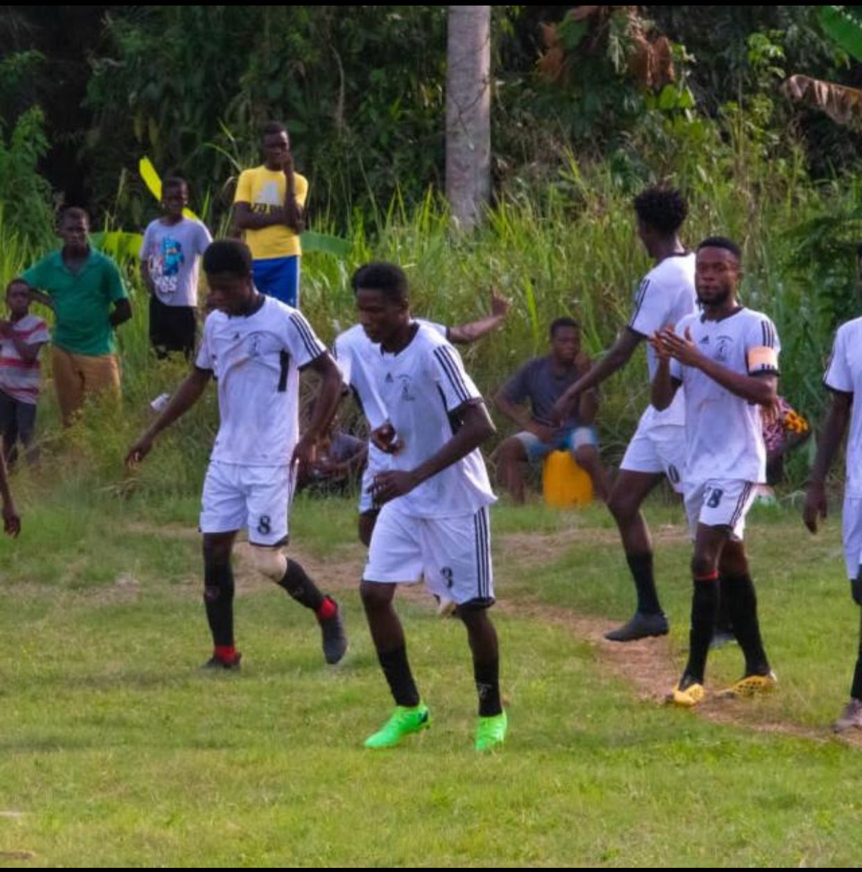 WhatsApp Image 2025-05-19 at 22.17.23_e85821a2